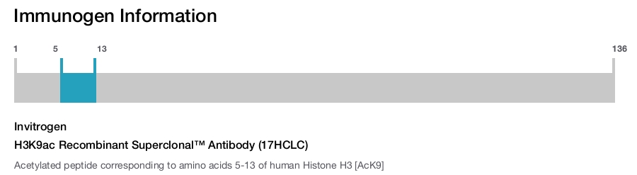H3K9ac Recombinant Superclonal™ Antibody (17HCLC)