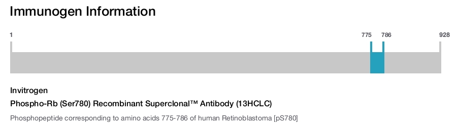 Phospho-Rb (Ser780) Recombinant Superclonal™ Antibody (13HCLC)