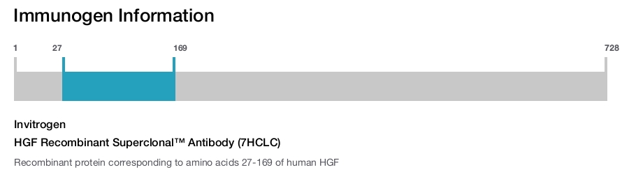 HGF Recombinant Superclonal™ Antibody (7HCLC)