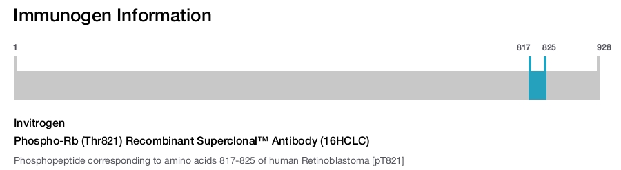 Phospho-Rb (Thr821) Recombinant Superclonal™ Antibody (16HCLC)