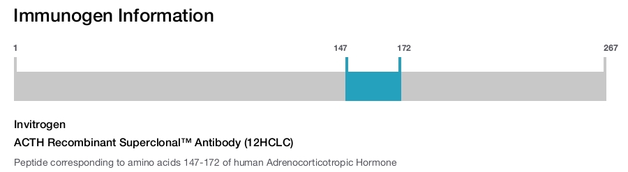 ACTH Recombinant Superclonal&trade; Antibody (12HCLC)