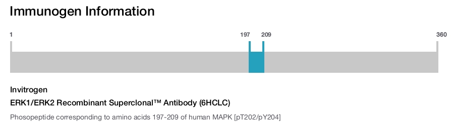 ERK1/ERK2 Recombinant Superclonal&trade; Antibody (6HCLC)