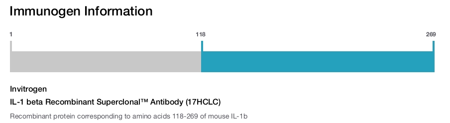 IL-1 beta Recombinant Superclonal™ Antibody (17HCLC)