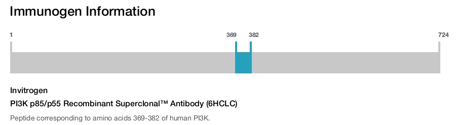 PI3K p85/p55 Recombinant Superclonal™ Antibody (6HCLC)