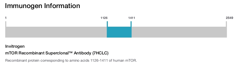 mTOR Recombinant Superclonal™ Antibody (7HCLC)