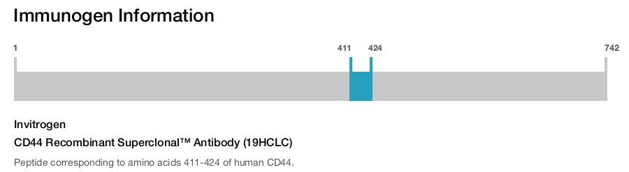 CD44 Recombinant Superclonal™ Antibody (19HCLC)