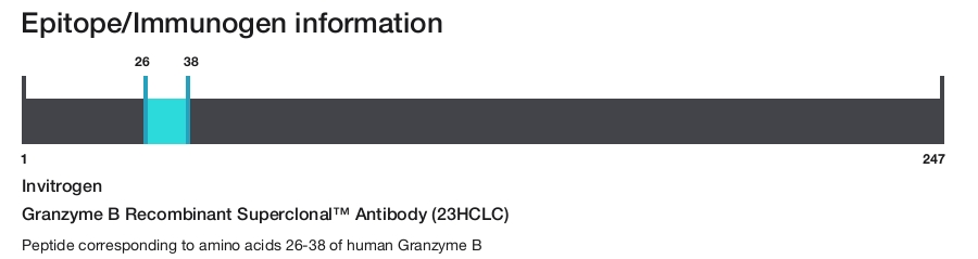 Granzyme B Recombinant Superclonal&trade; Antibody (23HCLC)
