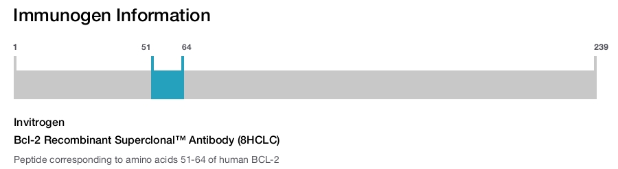 Bcl-2 Recombinant Superclonal™ Antibody (8HCLC)