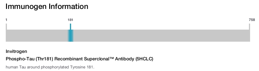 Phospho-Tau (Thr181) Recombinant Superclonal™ Antibody (5HCLC)