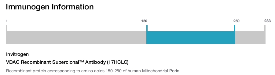 VDAC Recombinant Superclonal™ Antibody (17HCLC)