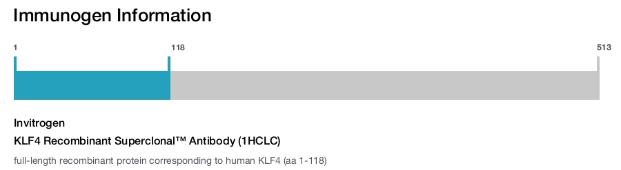 KLF4 Recombinant Superclonal™ Antibody (1HCLC)