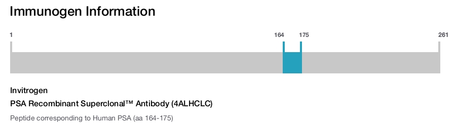 PSA Recombinant Superclonal™ Antibody (4ALHCLC)