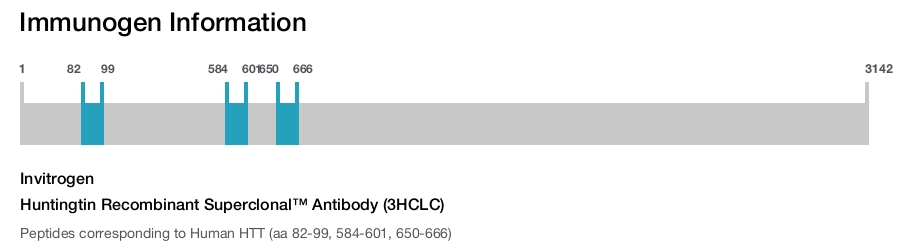 Huntingtin Recombinant Superclonal&trade; Antibody (3HCLC)