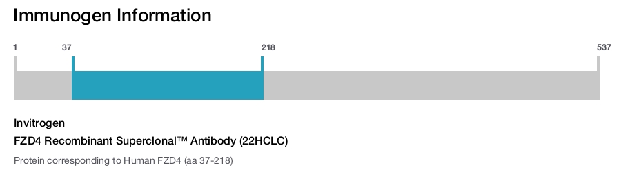 FZD4 Recombinant Superclonal™ Antibody (22HCLC)