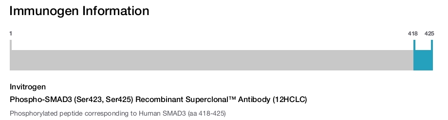 Phospho-SMAD3 (Ser423, Ser425) Recombinant Superclonal™ Antibody (12HCLC)