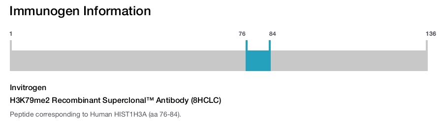 H3K79me2 Recombinant Superclonal™ Antibody (8HCLC)