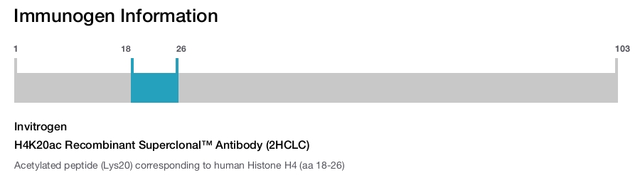 H4K20ac Recombinant Superclonal™ Antibody (2HCLC)