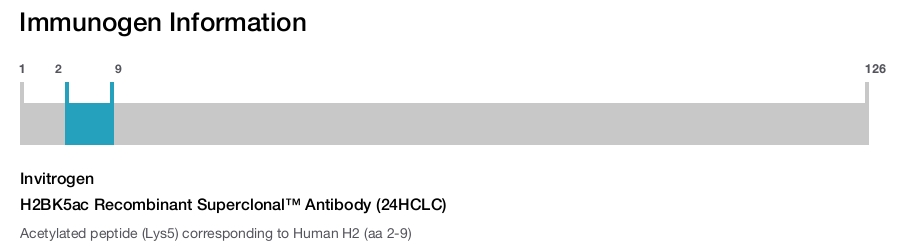 H2BK5ac Recombinant Superclonal™ Antibody (24HCLC)