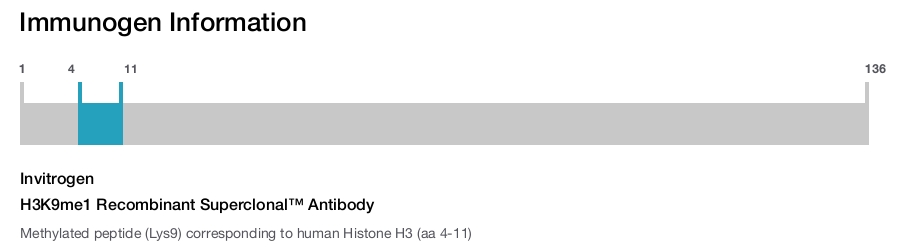 H3K9me1 Recombinant Superclonal™ Antibody