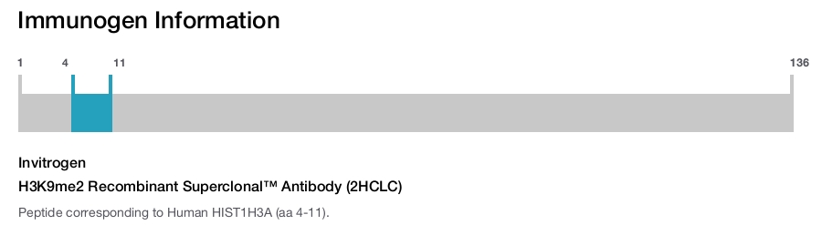 H3K9me2 Recombinant Superclonal™ Antibody (2HCLC)