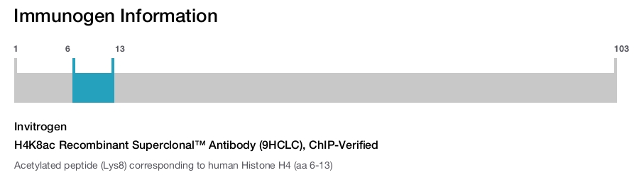 H4K8ac Recombinant Superclonal™ Antibody (9HCLC), ChIP-Verified