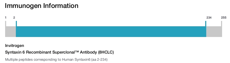 Syntaxin 6 Recombinant Superclonal™ Antibody (8HCLC)