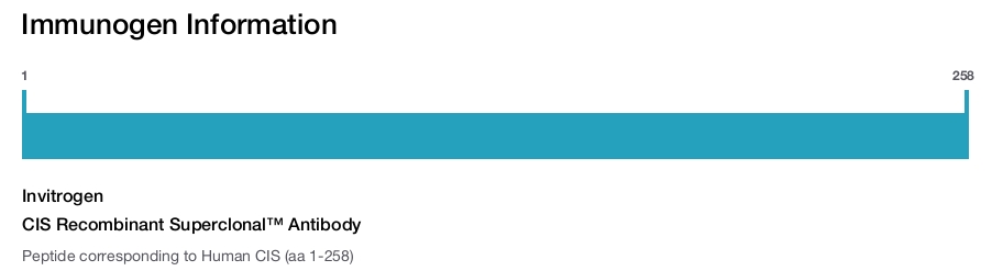 CIS Recombinant Superclonal™ Antibody