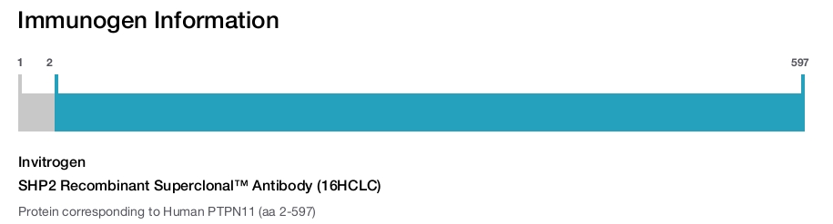 SHP2 Recombinant Superclonal&trade; Antibody (16HCLC)