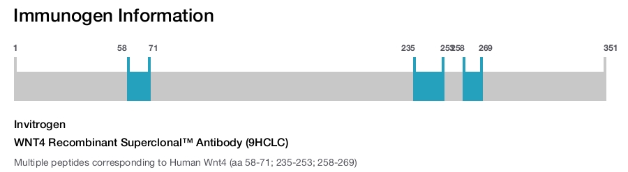 WNT4 Recombinant Superclonal™ Antibody (9HCLC)
