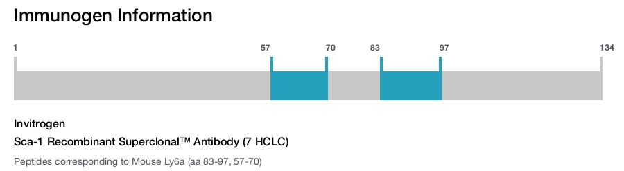 Sca-1 Recombinant Superclonal™ Antibody (7 HCLC)