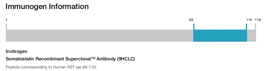 Somatostatin Recombinant Superclonal™ Antibody (9HCLC)