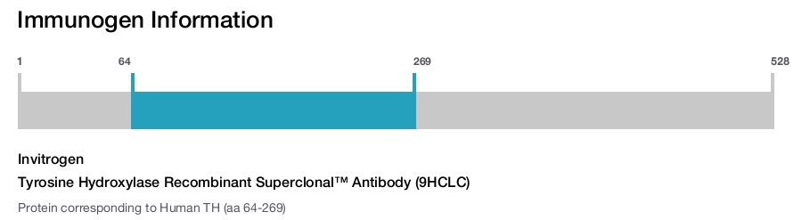 Tyrosine Hydroxylase Recombinant Superclonal™ Antibody (9HCLC)