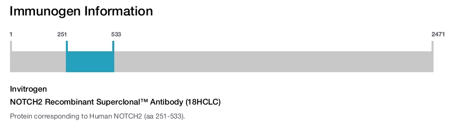NOTCH2 Recombinant Superclonal&trade; Antibody (18HCLC)