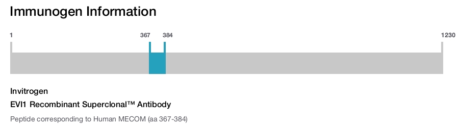 EVI1 Recombinant Superclonal™ Antibody