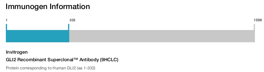 GLI2 Recombinant Superclonal™ Antibody (9HCLC)