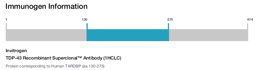 TDP-43 Recombinant Superclonal™ Antibody (1HCLC)