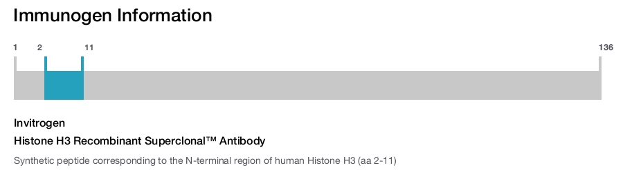 Histone H3 Recombinant Superclonal™ Antibody