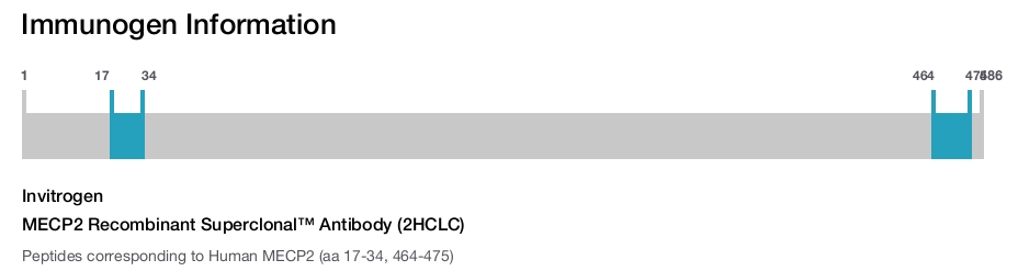 MECP2 Recombinant Superclonal&trade; Antibody (2HCLC)