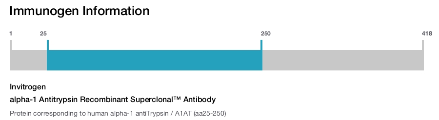 alpha-1 Antitrypsin Recombinant Superclonal™ Antibody