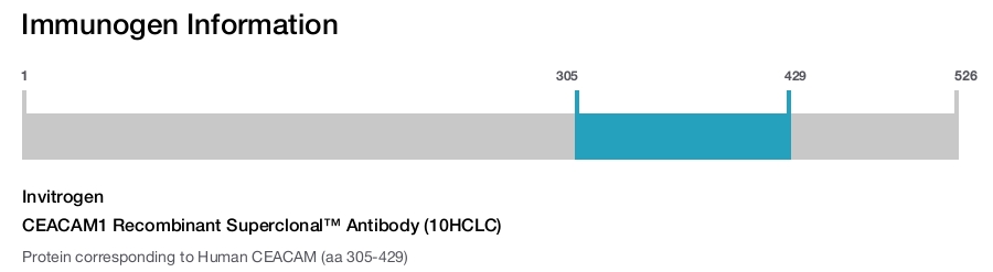 CEACAM1 Recombinant Superclonal™ Antibody (10HCLC)