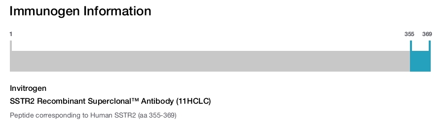 SSTR2 Recombinant Superclonal™ Antibody (11HCLC)