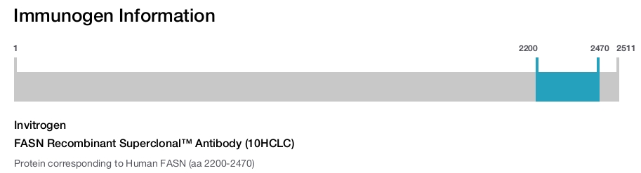 FASN Recombinant Superclonal™ Antibody (10HCLC)