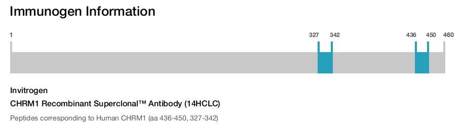 CHRM1 Recombinant Superclonal™ Antibody (14HCLC)