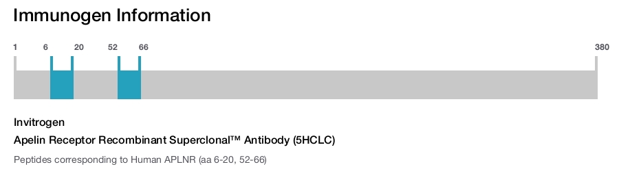Apelin Receptor Recombinant Superclonal™ Antibody (5HCLC)