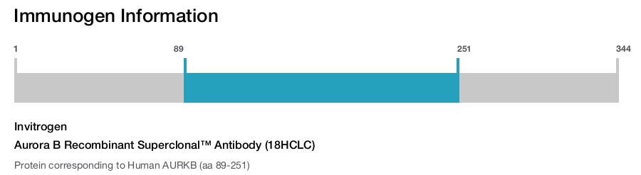 Aurora B Recombinant Superclonal™ Antibody (18HCLC)