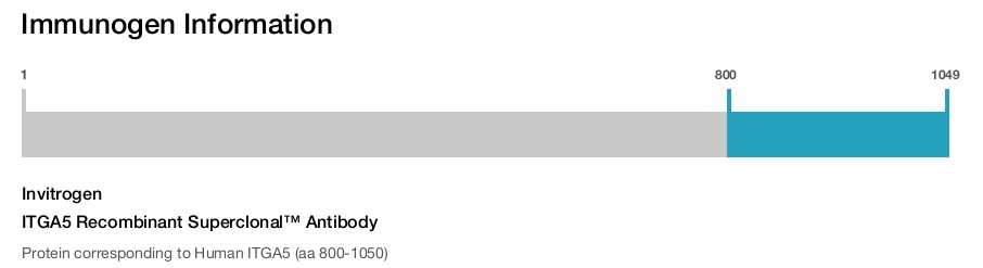 ITGA5 Recombinant Superclonal&trade; Antibody