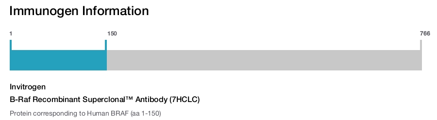 B-Raf Recombinant Superclonal™ Antibody (7HCLC)