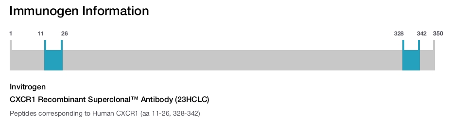 CXCR1 Recombinant Superclonal™ Antibody (23HCLC)