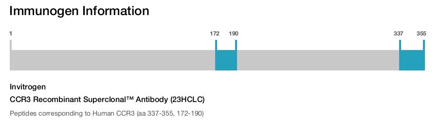 CCR3 Recombinant Superclonal™ Antibody (23HCLC)