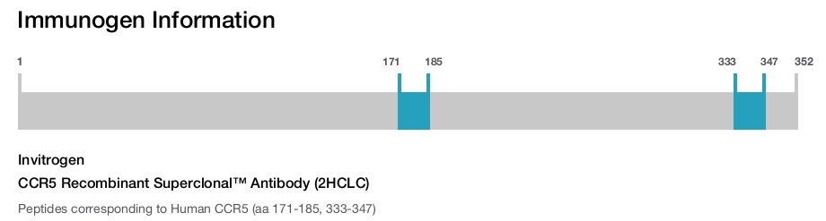 CCR5 Recombinant Superclonal™ Antibody (2HCLC)